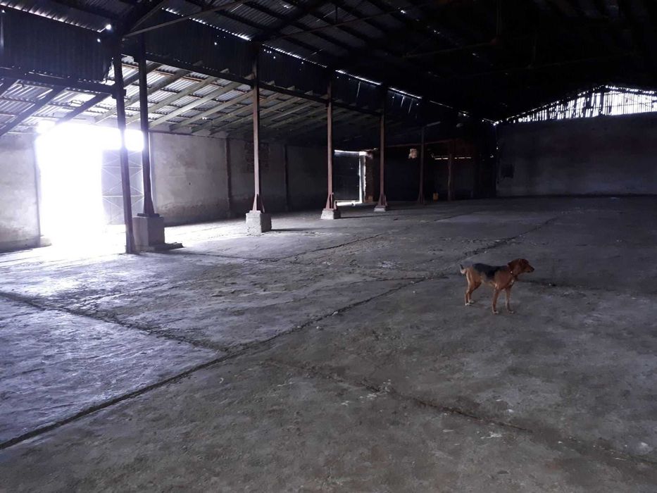 Дава се под наем Склад в с. Воднянци, Област Видин - 25000 кв.м за 99.45 € - Снимка #15