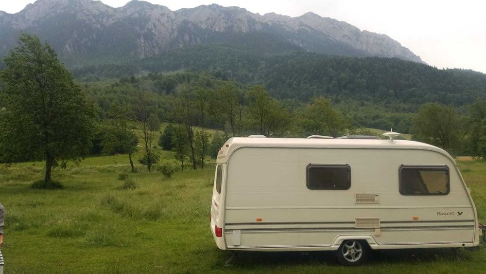 Rulota Avondale Avocet