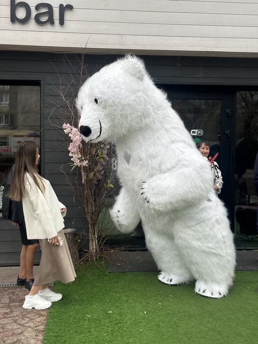 Заказ, Аренда белого Мишки