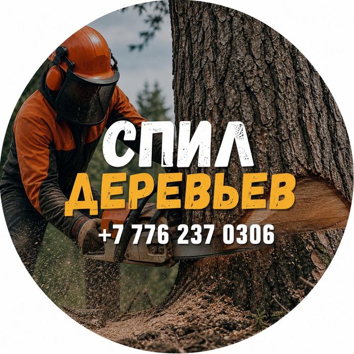 Спил деревьев, агаш кесу