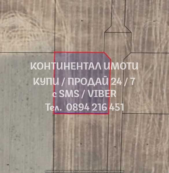 Продава се Парцел в с. Крислово, Област Пловдив - 700 кв.м за 46 €/кв.м - Снимка #5