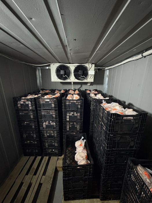 Фермерское мясо бройлера