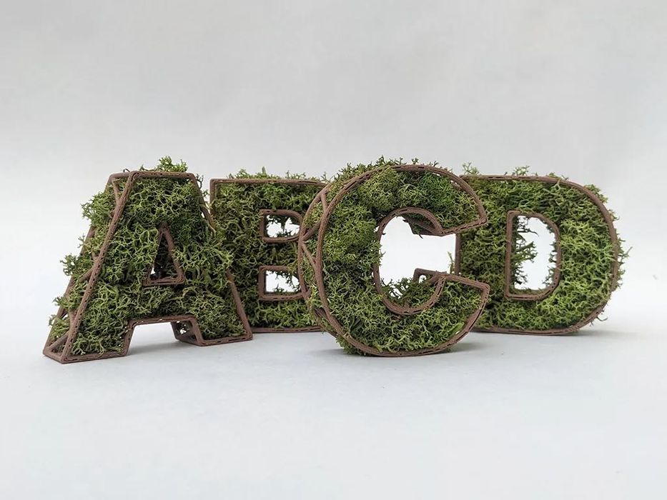 Scris cu mușchi licheni naturali - litere și culori diferite comandă