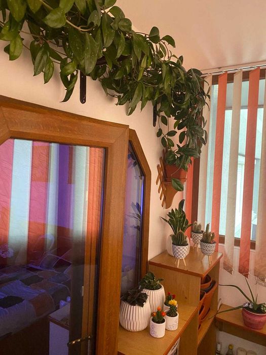 Apartament 2 camere, 55 mp utili, Str. Independenței nr. 51, etaj 3