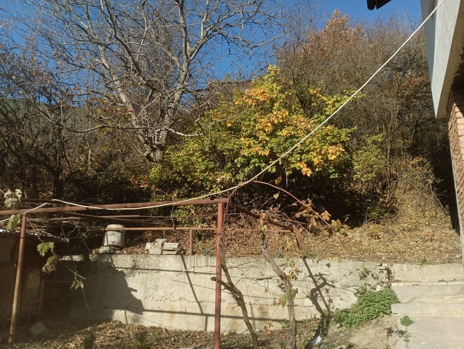 Почистване на запустели терени и имоти