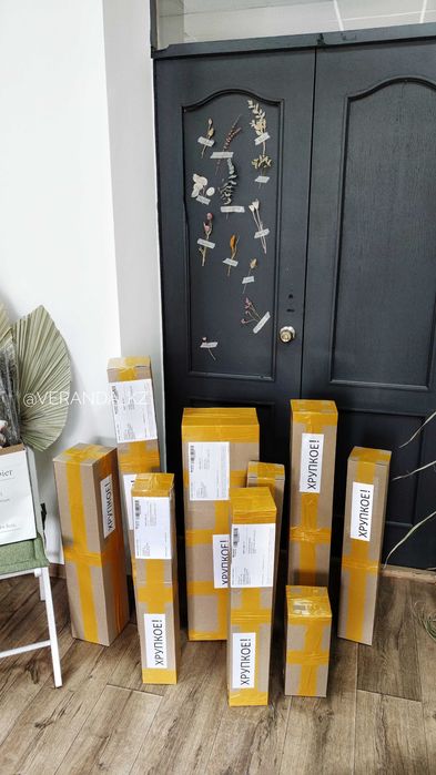 Пампасная трава кортадерия