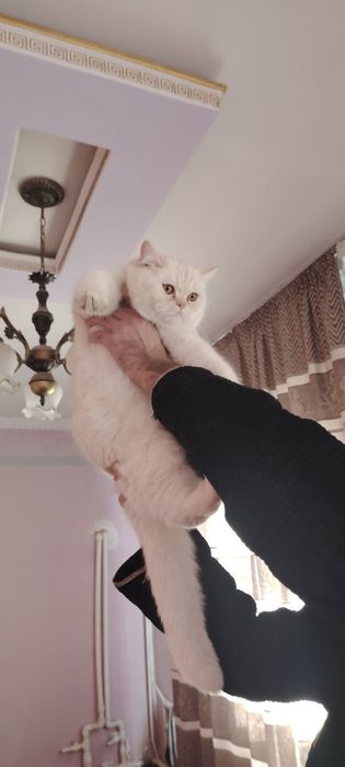 Вязка. Nasl olish