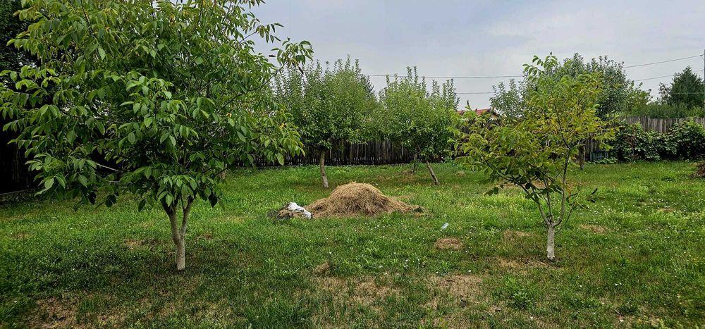 Casă și teren intravilan în com. Plopu, sat Nisipoasa, jud. Prahova.