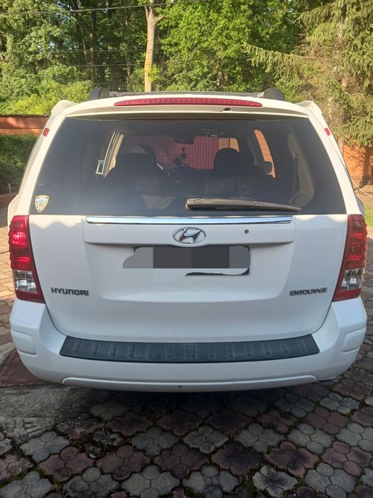 Hyundai entourage
