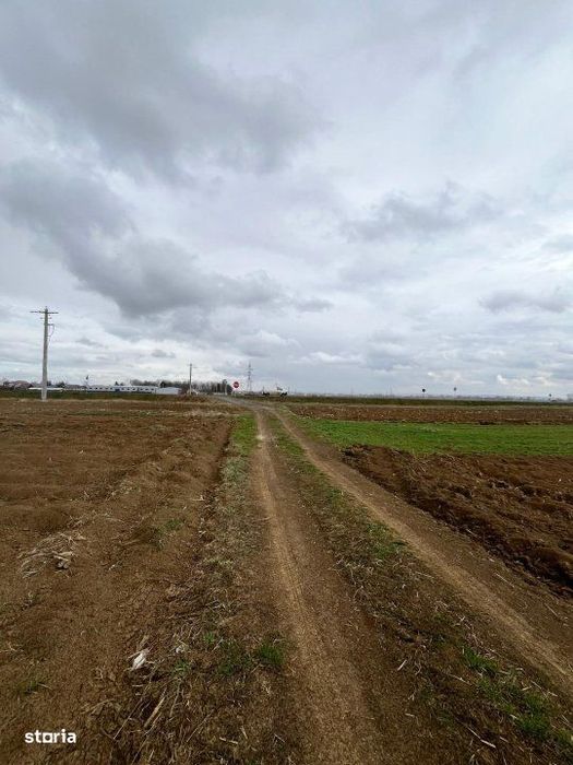 Teren extravilan 2500 mp,cu acces la Centura ,Radauti