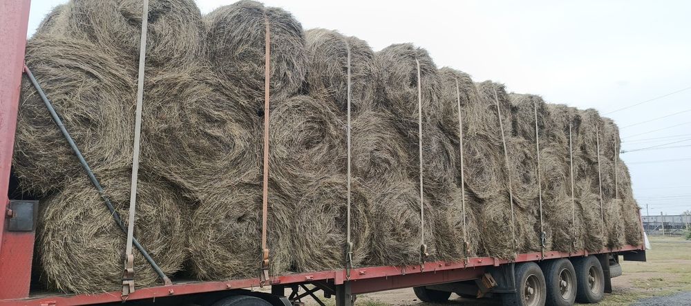 ШӨП! Сено 2025 разнотравье