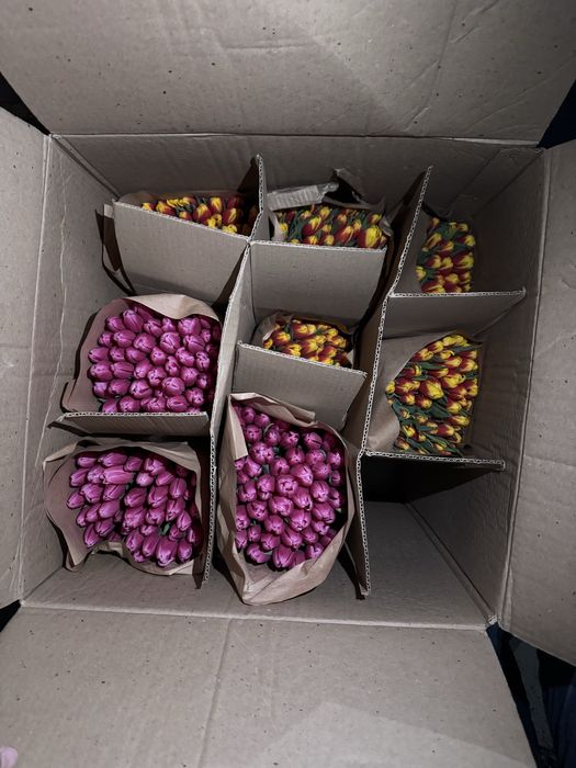 Тюльпаны на 8 марта