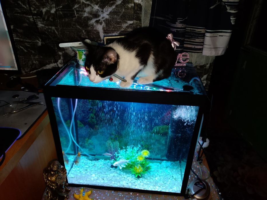 Продам аквариум на 30 литров