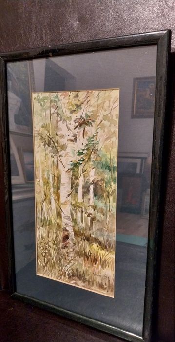 "Mesteceni" - C. VOLCINSCHI - Acuarela