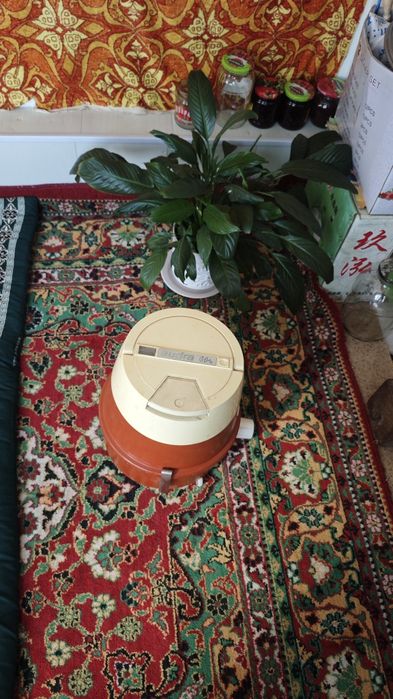 Чанг ютгич сотилади