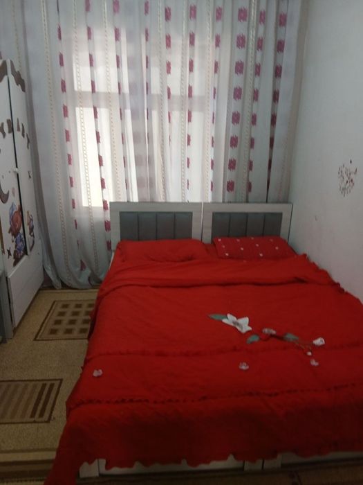 Keles Olmazor soylik 2 koʻcha