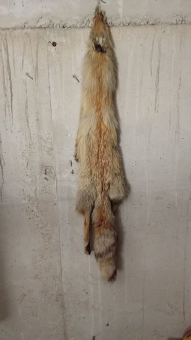 Срочно продам мех