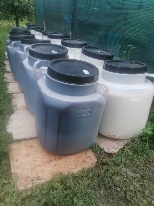 Vând miere BIO,  mană, poliflora, rapiță