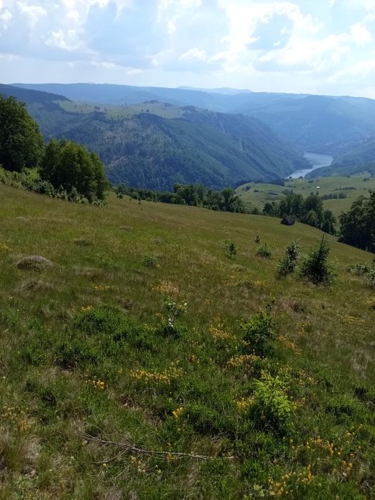 Teren de vânzare la munte - Jina, Sibiu