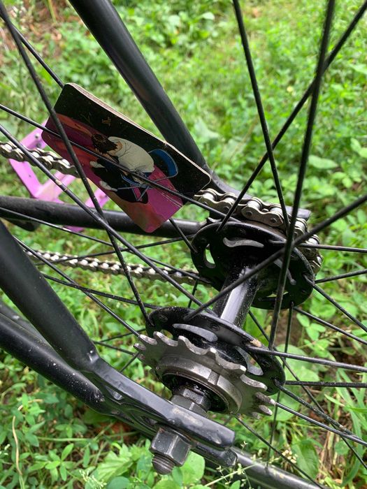 Octopus Vulgaris ST | fixed gear, single speed
