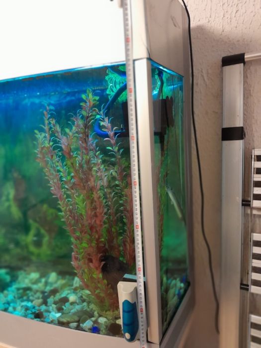 Аквариум 500 литров