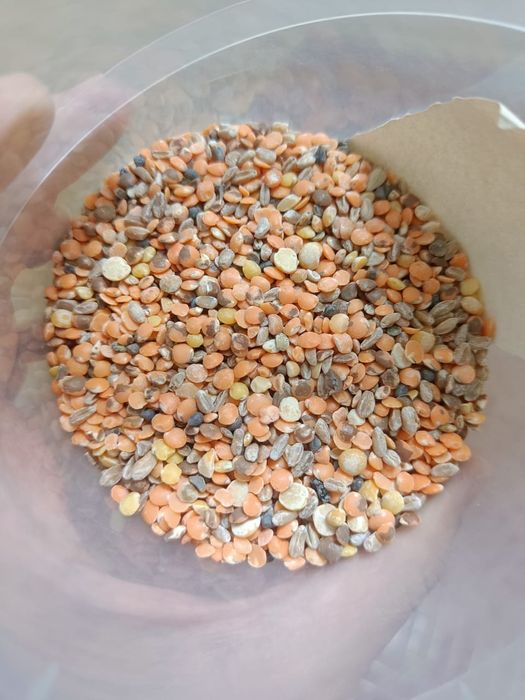 Отходы ячменя овес полова корма