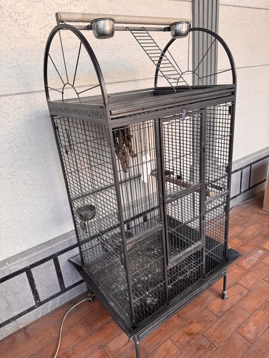 Капас сотилади котта кушлага Ара, Жако, га ўхшаган тотилар учун