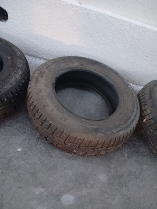 Шипы в хорошем состоянии