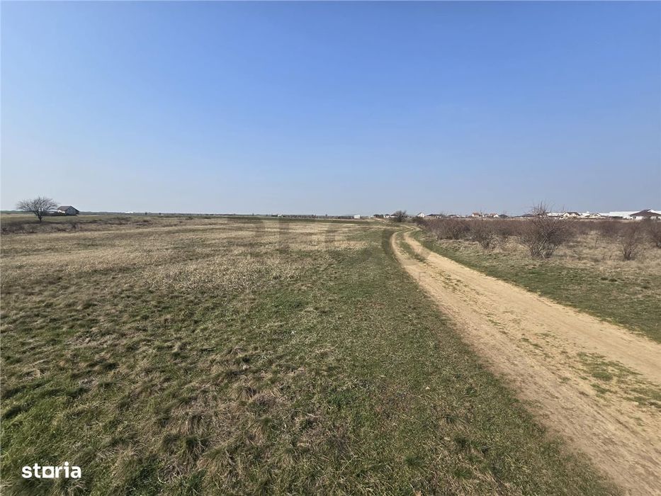 RECO Teren Grigorescu