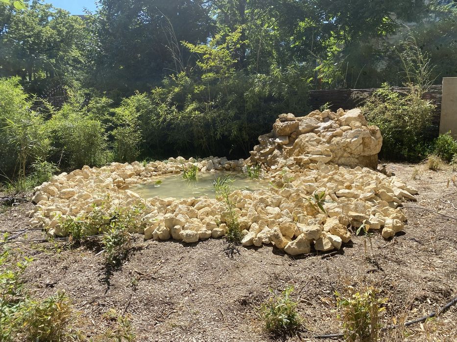 Gard din piatra / gabioane iaz amenajari gradini plante