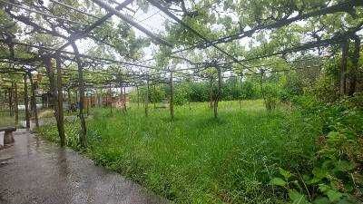 Продава се Къща в с. Владимирово, Област Добрич - 100 кв.м за 240 €/кв.м - Снимка #12