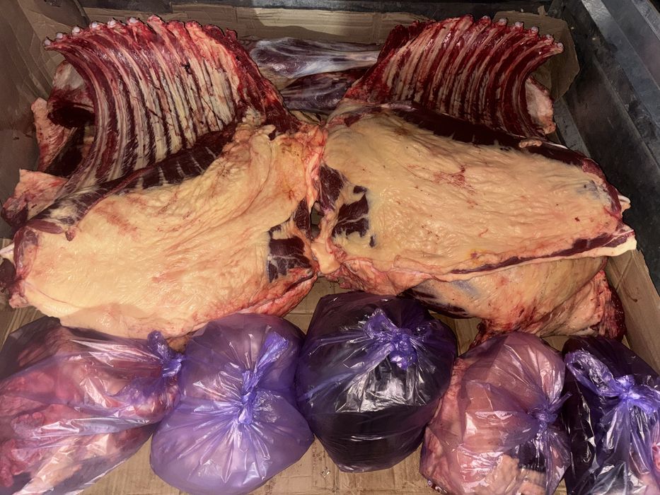 Жабагы на согым 2800