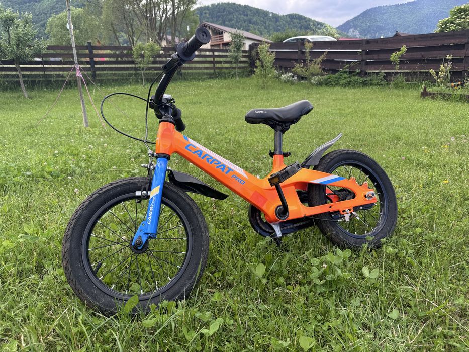 Bicicletă Carpat Pro 14”