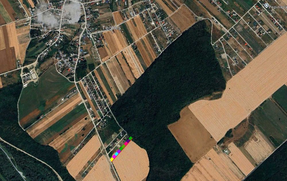 Loturi de vanzare 625 mp Domnesti, sat Teghes, langa Padure