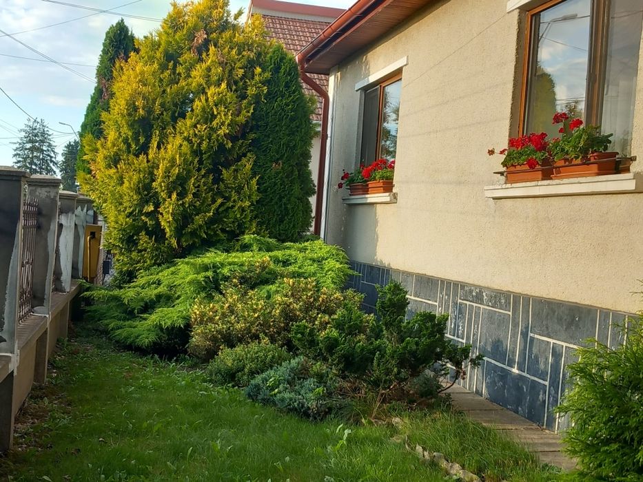 Casă de vânzare în comuna Apa – proprietate spațioasă, eficientă energetic, cu teren generos de 3.200 m²