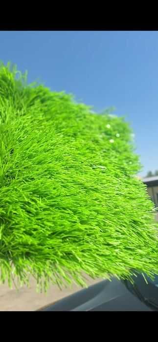 Искусственный газон/ Sun’iy chim / Ландшафтный газон / Landshaft chim