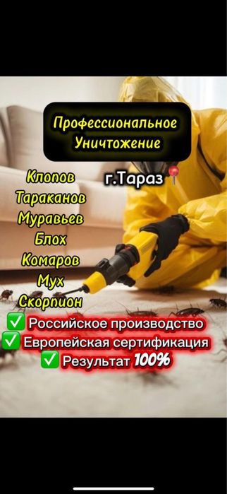 Дезинфекция клопов