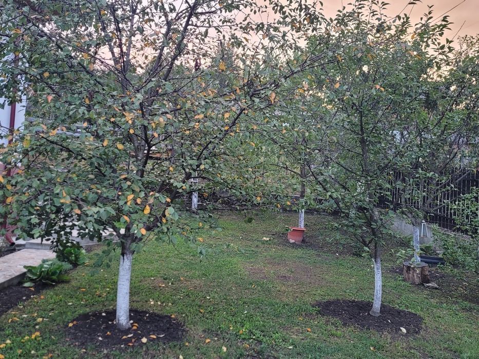 Oferta!Vand casa in zona de munte,Corbsori ,jud Arges,tot confortul