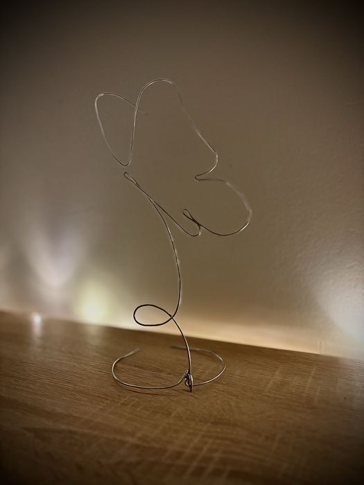 Decoratiune  interioara