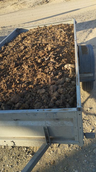 Көң (навоз,кон,manure) сатылады