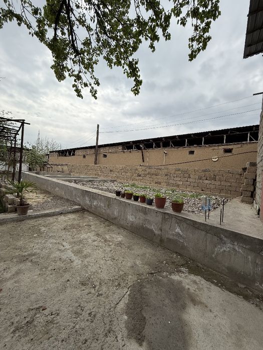 Ҳовли сотилади. Продается дом участок 11 соток (270600 USD)