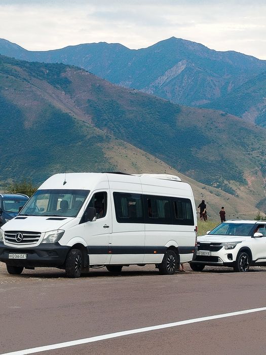 Mers sprinter 2014