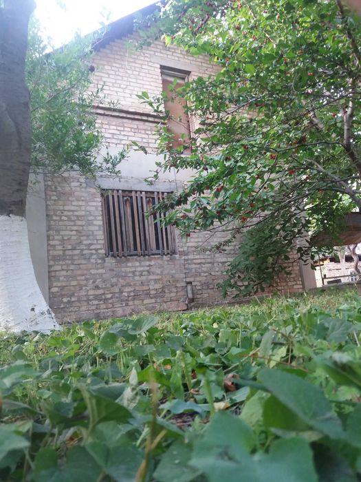 Dacha Sotiladi 8 sotx Kadaster xujatlar bor