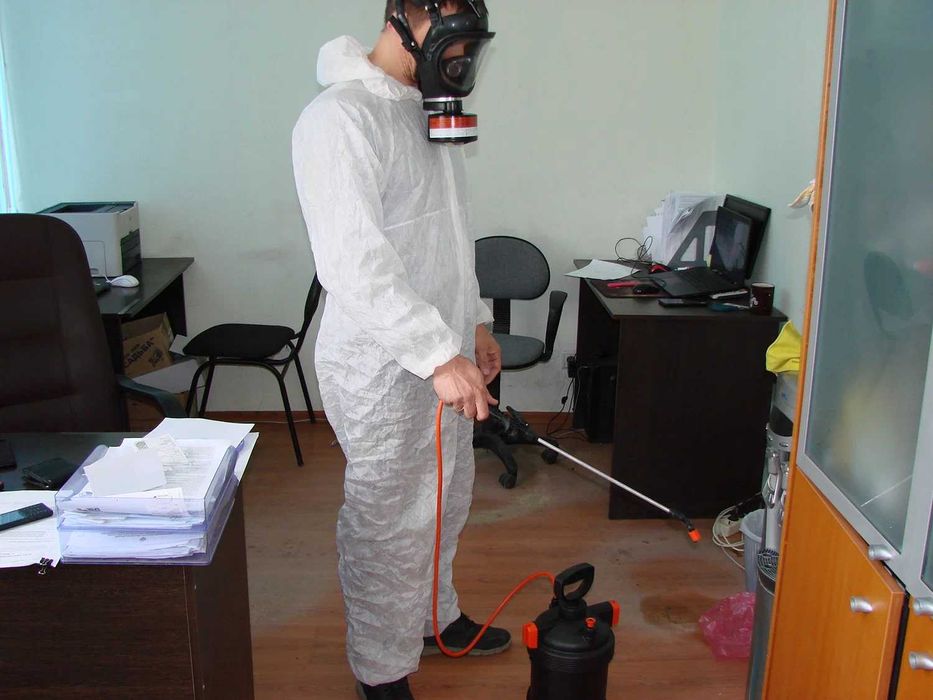 Дезинфекция насекомых клоп klop klapa Dezinfeksiya dezenfeksiya запах