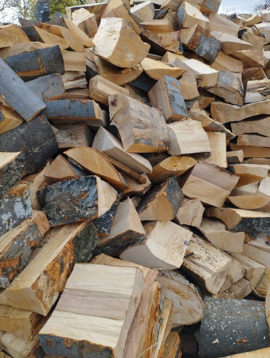 Lemne de foc fag capete uscate sau verzi 600.lei tona