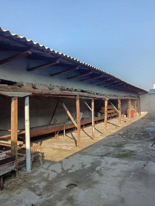 Уйга керакли насалар