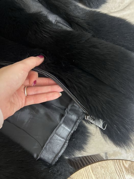 Haina blana vulpe polara