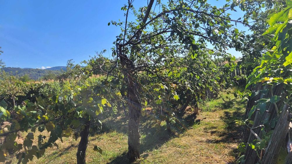 Casa de vanzare in statiune turistica + teren