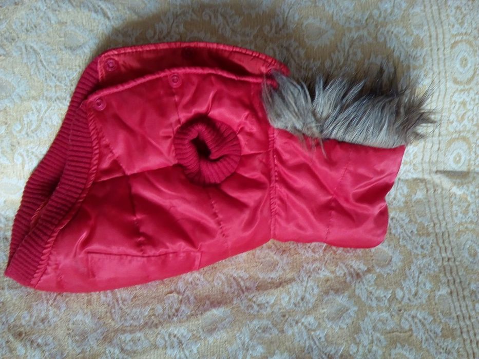 Грейка, якенце за куче