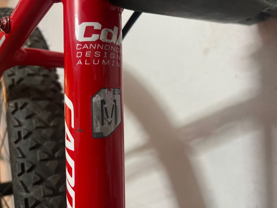 Cannondale trail SL4